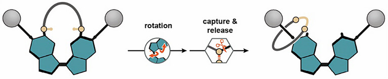 A molecular machine directs the synthesis of a rotaxane