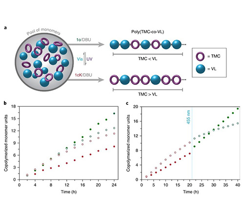 A photoswitchable catalyst system for remote-control (co)polymerisation in-situ